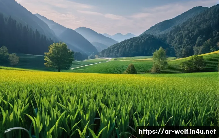 사회복지사 자격증 해외 인정 여부 관련 이미지 1